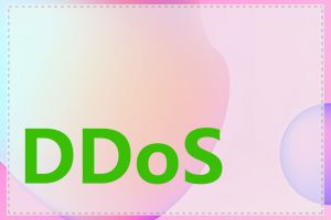 DDoS 攻击是什么