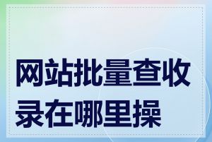 网站批量查收录在哪里操作