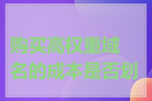 购买高权重域名的成本是否划算