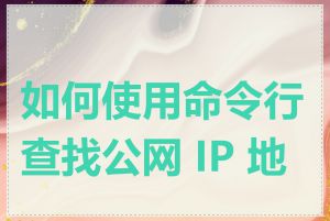 如何使用命令行查找公网 IP 地址