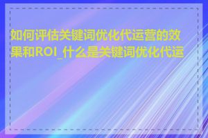 如何评估关键词优化代运营的效果和ROI_什么是关键词优化代运营