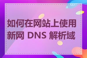 如何在网站上使用新网 DNS 解析域名