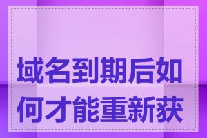 域名到期后如何才能重新获得