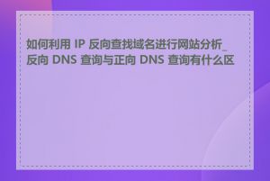 如何利用 IP 反向查找域名进行网站分析_反向 DNS 查询与正向 DNS 查询有什么区别