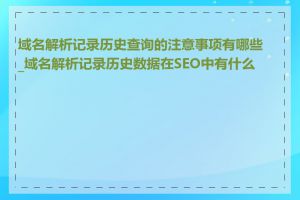 域名解析记录历史查询的注意事项有哪些_域名解析记录历史数据在SEO中有什么用