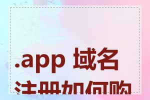 .app 域名注册如何购买