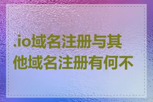 .io域名注册与其他域名注册有何不同