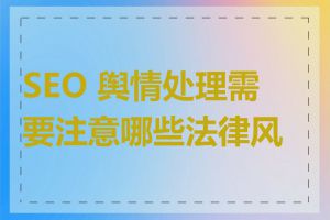 SEO 舆情处理需要注意哪些法律风险