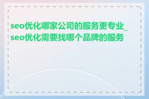 seo优化哪家公司的服务更专业_seo优化需要找哪个品牌的服务商