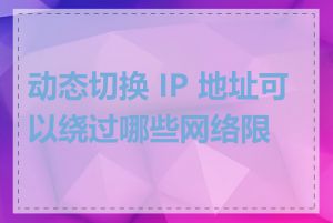 动态切换 IP 地址可以绕过哪些网络限制