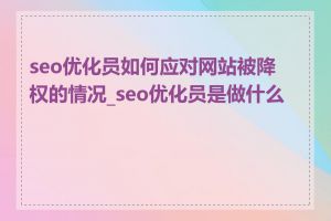 seo优化员如何应对网站被降权的情况_seo优化员是做什么的