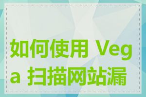 如何使用 Vega 扫描网站漏洞