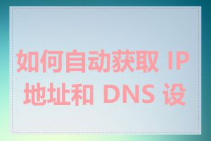 如何自动获取 IP 地址和 DNS 设置