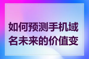 如何预测手机域名未来的价值变化