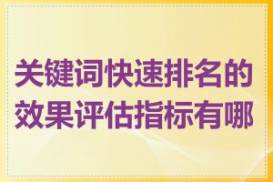 关键词快速排名的效果评估指标有哪些