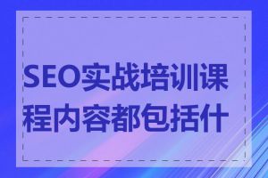 SEO实战培训课程内容都包括什么