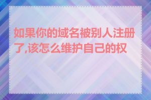 如果你的域名被别人注册了,该怎么维护自己的权益