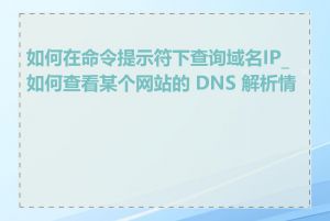 如何在命令提示符下查询域名IP_如何查看某个网站的 DNS 解析情况