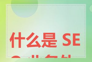 什么是 SEO 业务外包