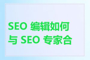 SEO 编辑如何与 SEO 专家合作