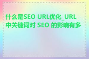 什么是SEO URL优化_URL 中关键词对 SEO 的影响有多大