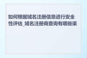 如何根据域名注册信息进行安全性评估_域名注册商查询有哪些渠道