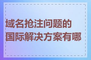 域名抢注问题的国际解决方案有哪些