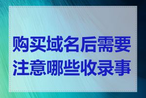 购买域名后需要注意哪些收录事项