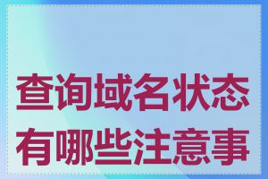 查询域名状态有哪些注意事项