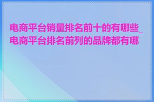 电商平台销量排名前十的有哪些_电商平台排名前列的品牌都有哪些