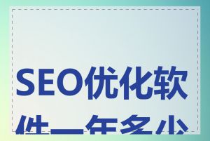 SEO优化软件一年多少钱