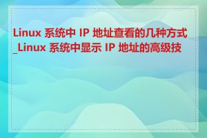 Linux 系统中 IP 地址查看的几种方式_Linux 系统中显示 IP 地址的高级技巧