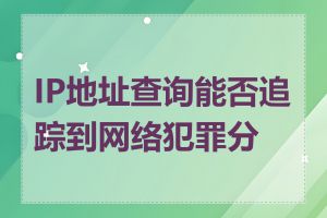 IP地址查询能否追踪到网络犯罪分子