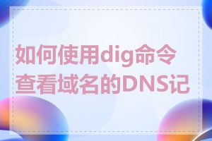 如何使用dig命令查看域名的DNS记录