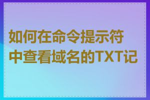 如何在命令提示符中查看域名的TXT记录