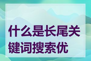 什么是长尾关键词搜索优化