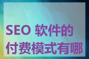 SEO 软件的付费模式有哪些