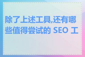 除了上述工具,还有哪些值得尝试的 SEO 工具