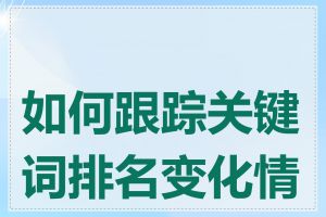 如何跟踪关键词排名变化情况