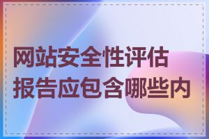 网站安全性评估报告应包含哪些内容