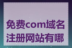 免费com域名注册网站有哪些