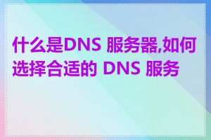 什么是DNS 服务器,如何选择合适的 DNS 服务器