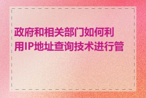 政府和相关部门如何利用IP地址查询技术进行管控