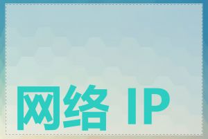 网络 IP 地址查询