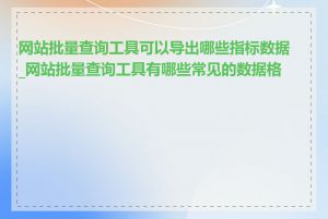 网站批量查询工具可以导出哪些指标数据_网站批量查询工具有哪些常见的数据格式