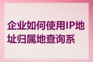 企业如何使用IP地址归属地查询系统