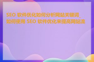 SEO 软件优化如何分析网站关键词_如何使用 SEO 软件优化来提高网站流量