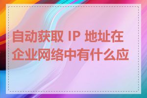 自动获取 IP 地址在企业网络中有什么应用