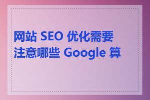 网站 SEO 优化需要注意哪些 Google 算法