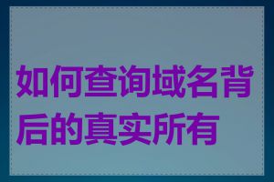 如何查询域名背后的真实所有者